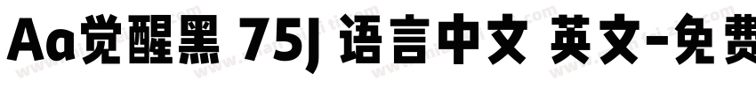 Aa觉醒黑 75J 语言中文 英文字体转换
